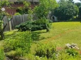 Rechteckig - eben - vollaufgeschlossen! Traumhafter Grund im Tullnerfeld, 199000 €, Immobilien-Grund und Boden in 3451 Michelhausen Rechteckig - eben - vollaufgeschlossen! Traumhafter Grund im Tullnerfeld, 199000 €, Immobilien-Grund und Boden in 3451 Michelhausen