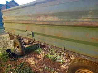 Zweiachsanhänger für Traktor, 800 €, Auto & Fahrrad-Traktoren & Nutzfahrzeuge in 3843 Dobersberg Zweiachsanhänger für Traktor, 800 €, Auto & Fahrrad-Traktoren & Nutzfahrzeuge in 3843 Dobersberg