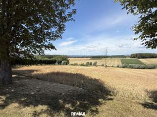 Baugrund in Aussichtslage, Ruhelage ohne Bauzwang, 45000 €, Immobilien-Grund und Boden in 7544 Tobaj
