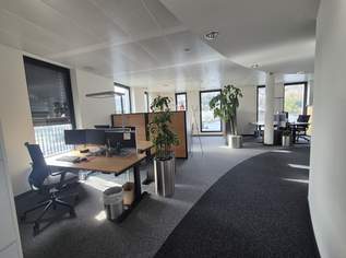 PRAXIS/BÜRO/ORDINATION, 5519.6 €, Immobilien-Gewerbeobjekte in 5101 Bergheim