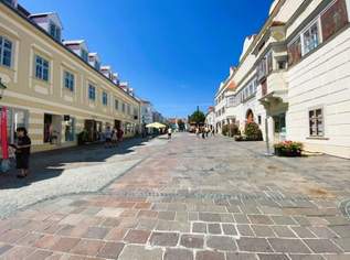 Exklusives Geschäftslokal im Herzen der Landeshauptstadt, 0 €, Immobilien-Gewerbeobjekte in 7100 Gemeinde Neusiedl am See Exklusives Geschäftslokal im Herzen der Landeshauptstadt, 0 €, Immobilien-Gewerbeobjekte in 7100 Gemeinde Neusiedl am See