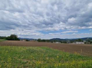 Sonniges Baugrundstück in ruhiger Lage bei St. Kanzian am Klopeiner See, 85000 €, Immobilien-Grund und Boden in 9122 Sankt Kanzian am Klopeiner See Sonniges Baugrundstück in ruhiger Lage bei St. Kanzian am Klopeiner See, 85000 €, Immobilien-Grund und Boden in 9122 Sankt Kanzian am Klopeiner See
