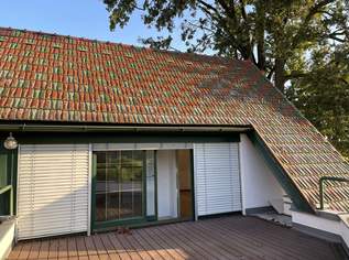 Bürofläche inkl. Dachterrasse zu vermieten (provisionsfrei), 528 €, Immobilien-Gewerbeobjekte in 8442 Fresing Bürofläche inkl. Dachterrasse zu vermieten (provisionsfrei), 528 €, Immobilien-Gewerbeobjekte in 8442 Fresing