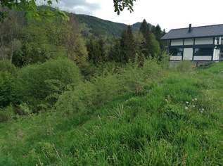 Grundstück in Steinhaus am Semmering, 115000 €, Immobilien-Grund und Boden in 8684 Steinhaus am Semmering Grundstück in Steinhaus am Semmering, 115000 €, Immobilien-Grund und Boden in 8684 Steinhaus am Semmering