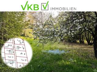 Großzügiges Grundstück nähe Gallneukirchen! - Gemeinde Alberndorf in der Riedmark (GST 2443/1), 230000 €, Immobilien-Grund und Boden in 4211 Spattendorf