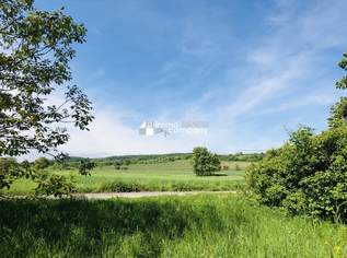 Baugrund am Bisamberg -Die Sensation, 1400000 €, Immobilien-Grund und Boden in 2102 Klein-Engersdorf Baugrund am Bisamberg -Die Sensation, 1400000 €, Immobilien-Grund und Boden in 2102 Klein-Engersdorf
