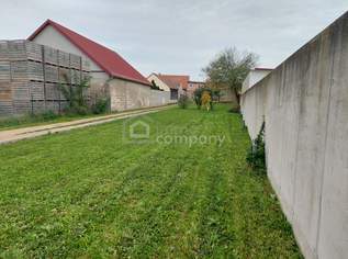 Großzügiges Grundstück - viele Möglichkeiten! **zwischen Wien und Bratislava**, 96000 €, Immobilien-Grund und Boden in 2292 Engelhartstetten