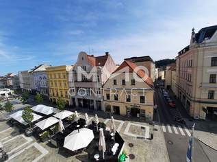 Gemütliche 2 Zimmer-Wohnung am Stadtplatz 40 - Top 13, 720.09 €, Immobilien-Wohnungen in 4600 Wels