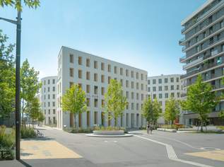 ROBIN Seestadt - Innovative Büroflächen in Wiens modernstem Stadtquartier, 2356 €, Immobilien-Gewerbeobjekte in 1220 Donaustadt