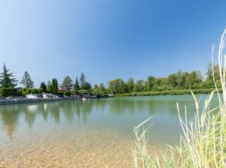 Haus am Badesee in Enzersdorf an der Fischa nur 15 Min von Wien entfernt zu kaufen!, 180000 €, Immobilien-Häuser in 2431 Enzersdorf an der Fischa Haus am Badesee in Enzersdorf an der Fischa nur 15 Min von Wien entfernt zu kaufen!, 180000 €, Immobilien-Häuser in 2431 Enzersdorf an der Fischa