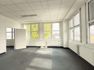 Top-Büro mit Gemeinschaftsflächen - provisionsfrei im Concorde Business Park – jetzt sichern, 776.4 €, Immobilien-Gewerbeobjekte in 2320 Schwechat