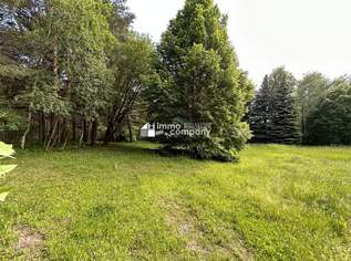 Ihre Gelegenheit! Grundstück in Traumlage mit Waldbestand!, 400000 €, Immobilien-Grund und Boden in 2812 Gemeinde Hollenthon