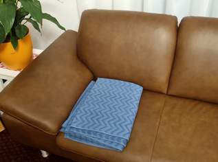 Ledersofa