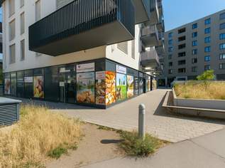 Moderne Gewerbefläche mit hoher Sichtbarkeit und flexibler Nutzung, 5553.43 €, Immobilien-Gewerbeobjekte in 1220 Donaustadt