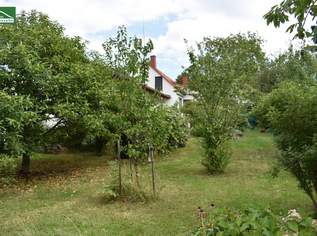Ländliche Idylle im Burgenland: Charmantes Landhaus mit 4 Zimmern, 130 m², Garten, Terrasse, u.v.m.. - WOHNTRAUM, 290490.52 €, Immobilien-Häuser in 7323 Gemeinde Ritzing