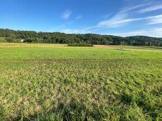 Landwirtschaftliche Nutzfläche in guter Vasoldsberger Lage, 406000 €, Immobilien-Grund und Boden in 8076 Vasoldsberg