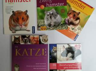 Tierratgeber Katzen und Hamster ab, 2 €, Marktplatz-Tiere & Tierbedarf in 6410 Marktgemeinde Telfs