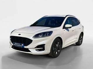 Kuga 2,0 EcoBlue Hybrid ST-Line X Aut., 34990 €, Auto & Fahrrad-Autos in 2345 Brunn am Gebirge Kuga 2,0 EcoBlue Hybrid ST-Line X Aut., 34990 €, Auto & Fahrrad-Autos in 2345 Brunn am Gebirge