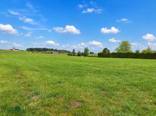 Großes Baugrundstück in ruhiger Lage - Grundstück Süden, 458500 €, Immobilien-Grund und Boden in 5142 Eggelsberg Großes Baugrundstück in ruhiger Lage - Grundstück Süden, 458500 €, Immobilien-Grund und Boden in 5142 Eggelsberg