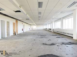 Moderne Gewerbefläche in Wiener Neudorf, 7206.64 €, Immobilien-Gewerbeobjekte in 2351 Gemeinde Wiener Neudorf Moderne Gewerbefläche in Wiener Neudorf, 7206.64 €, Immobilien-Gewerbeobjekte in 2351 Gemeinde Wiener Neudorf