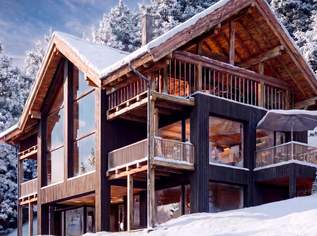LUXGUT VERONICA — Alpine Architecture In Pole Position