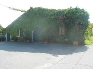Versteigerung: großzügiger Weinguts-Betriebsstandort mit Hallen und Lagerflächen, 2620000 €, Immobilien-Gewerbeobjekte in 7122 Gols Versteigerung: großzügiger Weinguts-Betriebsstandort mit Hallen und Lagerflächen, 2620000 €, Immobilien-Gewerbeobjekte in 7122 Gols