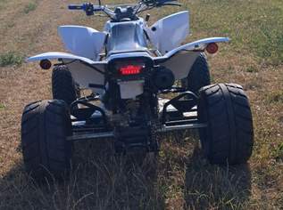 Explorer Trasher 320 Quad Explorer Trasher 320 Quad
