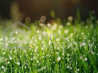 ICH BAU MIR MEIN HAUS - Grunstück in ruhiger Lage - Aufschließungskosten bereits bezahlt!, 185000 €, Immobilien-Grund und Boden in 2492 Gemeinde Zillingdorf ICH BAU MIR MEIN HAUS - Grunstück in ruhiger Lage - Aufschließungskosten bereits bezahlt!, 185000 €, Immobilien-Grund und Boden in 2492 Gemeinde Zillingdorf