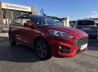 Kuga ST-Line X Plug-In Hybrid, 24900 €, Auto & Fahrrad-Autos in 5163 Mattsee