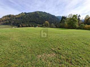 TOLLE GELEGENHEIT FÜR UNTERNEHMER, 79000 €, Immobilien-Gewerbeobjekte in 9560 Feldkirchen in Kärnten