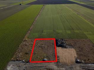 Preisreduziert - Grundstück in Ruhelage, 299000 €, Immobilien-Grund und Boden in 2486 Katastralgemeinde Siegersdorf