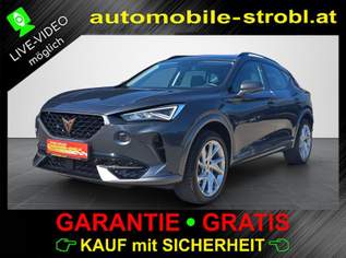 Formentor TDI 4Drive ACC Virt.C Sitzhzg GARANTIE, 34880 €, Auto & Fahrrad-Autos in 8322 Eichkögl Formentor TDI 4Drive ACC Virt.C Sitzhzg GARANTIE, 34880 €, Auto & Fahrrad-Autos in 8322 Eichkögl