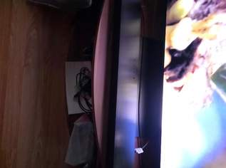 Samsung Saundbar 3.1, 100 €, Marktplatz-Kameras & TV & Multimedia in 1110 Simmering