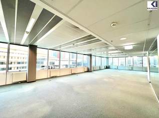 GROSSRAUM-BÜRO IM SATURN-TOWER, 15893.23 €, Immobilien-Gewerbeobjekte in 1220 Donaustadt
