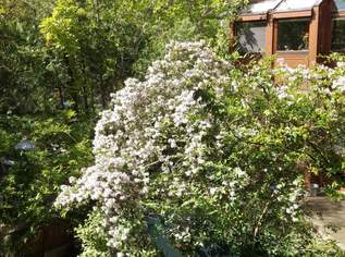 Licht. Raum. Lebensqualität., 455000 €, Immobilien-Wohnungen in 2340 Gemeinde Mödling