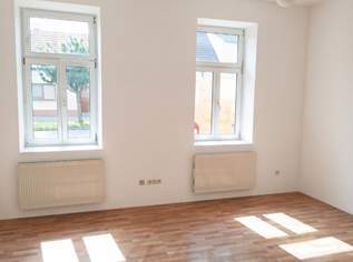 2273 Hohenau: Haus mit grossem Garten zu vermieten, 1200 €, Immobilien-Häuser in 2273 Gemeinde Hohenau an der March 2273 Hohenau: Haus mit grossem Garten zu vermieten, 1200 €, Immobilien-Häuser in 2273 Gemeinde Hohenau an der March
