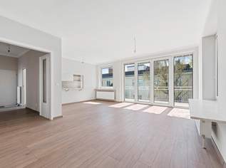 "360 Grad Terrasse mit wunderschön renovierter Wohnung", 640000 €, Immobilien-Wohnungen in 1230 Liesing