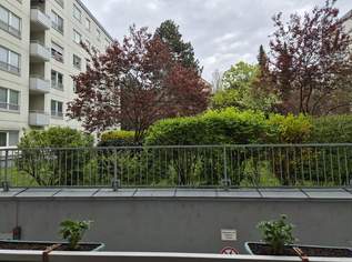 Urban & ruhig zugleich: 3-Zimmer-Wohnung im EG mit Gartenblick, 205000 €, Immobilien-Wohnungen in 1100 Favoriten