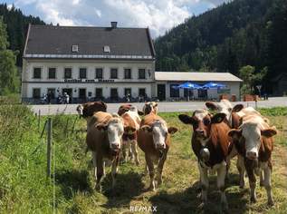 Betriebsbereiter Gasthof in touristischer Top-Lage im Mariazellerland, 299000 €, Immobilien-Gewerbeobjekte in 8630 Mariazell