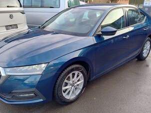 Octavia Ambition 2,0 TDI, 19900 €, Auto & Fahrrad-Autos in 6850 Stadt Dornbirn