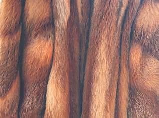 pelzmantel, 450 €, Kleidung & Schmuck-Damenkleidung in 2410 Gemeinde Hainburg an der Donau