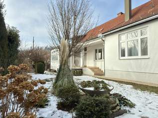 LIEBEVOLL RENOVIERTES STRECKHAUS MIT CHARMANTEM, UNEINSEHBAREM GARTEN, 348000 €, Immobilien-Häuser in 7332 Kobersdorf LIEBEVOLL RENOVIERTES STRECKHAUS MIT CHARMANTEM, UNEINSEHBAREM GARTEN, 348000 €, Immobilien-Häuser in 7332 Kobersdorf