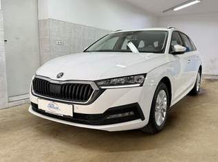 Octavia Ambition DSG ''LED-Navi-Virtual-Sitzh-Alu'', 18900 €, Auto & Fahrrad-Autos in 4906 Eberschwang