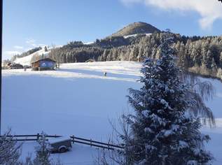 Mehrere nette möb.1-2 Raum Apartm. ab 549 EURO + NK, TOP Lage an Skiwiese,200m Zentrum, ruhig ,grün, 835 €, Immobilien-Wohnungen in 6365 Gemeinde Kirchberg in Tirol