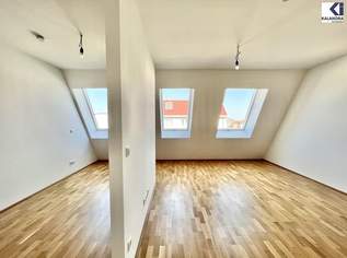 360° TOUR // ERSTBEZUG - DACHGESCHOßWOHNUNG / FIRST LETTING ROOF-TOP APARTMENT, 648.35 €, Immobilien-Wohnungen in 1210 Floridsdorf