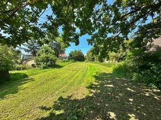 Baugrundstück mit sanierungsbedürftigem Bauernhof, Stallungen und Stadl in ländlicher Lage zu verkaufen., 152000 €, Immobilien-Häuser in 2165 Gemeinde Drasenhofen