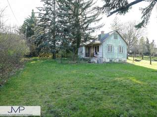 Schönes Kleingartengrundstück in absoluter Ruhelage - mit PKW direkt erreichbar!, 0 €, Immobilien-Grund und Boden in 1190 Döbling