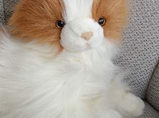 Stofftier Katze ca 40cm, FIXPREIS 20€ /NUR SELBSTABHOLUNG, 23 Bezirk , KEIN Versand! ! ! ! ! ! Stofftier Katze ca 40cm, FIXPREIS 20€ /NUR SELBSTABHOLUNG, 23 Bezirk , KEIN Versand! ! ! ! ! !