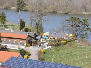 Traumhafte Gastroliegenschaft in der Wachau am Fuße einer Ruine***Donauterrasse***perfekt für Edelgastronomie oder Gourmettempel, 2670 €, Immobilien-Gewerbeobjekte in 3500 Am Steindl Traumhafte Gastroliegenschaft in der Wachau am Fuße einer Ruine***Donauterrasse***perfekt für Edelgastronomie oder Gourmettempel, 2670 €, Immobilien-Gewerbeobjekte in 3500 Am Steindl