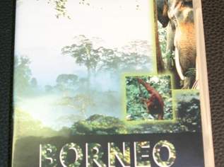 DVD - Wilde Paradiese - Borneo. Die Geister des Regenwaldes, 5 €, Marktplatz-Filme & Serien in 1160 Ottakring